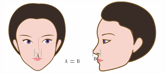 隆鼻-立體結構式隆鼻-卡麥拉隆鼻-縮鼻翼-大韓隆鼻-3段gogo鼻-彤顏診所-整形外科-隆鼻手術-隆鼻黃金比例